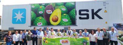 RP’s Hass Avocado sets sail for South Korea