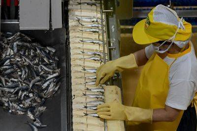 Sardines manufacturers not hiking prices