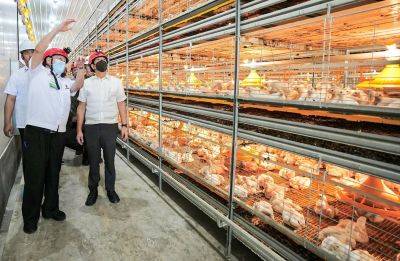 PBBM sees stable poultry supply