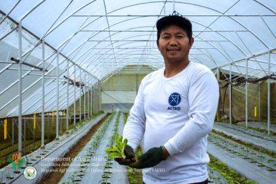 Manila Standard - Benguet’s son returns to farming roots - manilastandard.net - Philippines - South Korea