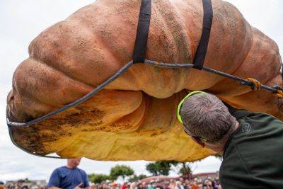 Agence FrancePresse - World's biggest pumpkin the size of a hippo - philstar.com - Usa - New Zealand - Italy - state California - Los Angeles, Usa - state Minnesota