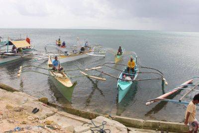 Funding for BFAR 're-fleeting' program pushed to protect Filipino fishermen