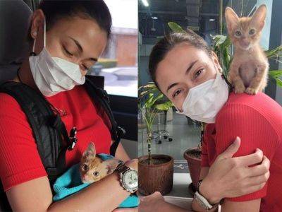 WATCH: Jodi Sta. Maria says adopted stray cat Naia 'sobrang kulit na'