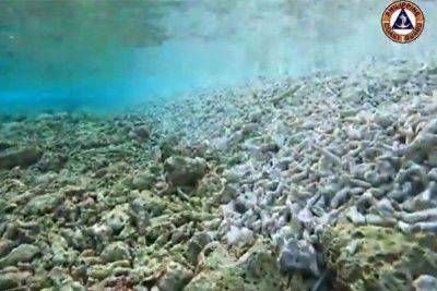 DOJ: Philippines to pursue case vs China over coral damage