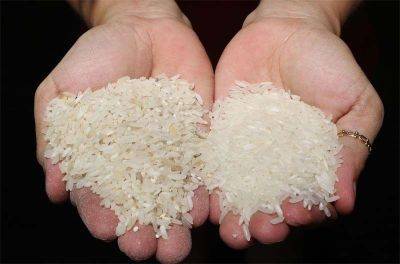 Alexis Romero - Government ready to lift rice price caps - philstar.com - Philippines - Manila