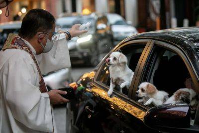 Covid-worried owners get pets blessed at drive-through ceremony in Philippines - standard.co.uk - Philippines - city Manila