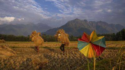 Asia - HSBC fears possible food crisis in Asia - euronews.com - Usa - Thailand - India - Britain - China - Ukraine - Russia - Pakistan