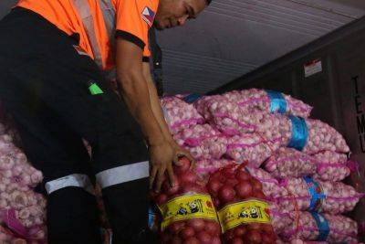 Bella Cariaso - Mark Enverga - Jayson Cainglet - Bureau of Plant Industry probed over imported onions - philstar.com - Philippines - Manila
