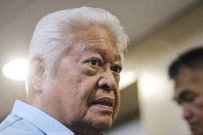 Red Mendoza - Edcel Lagman - 'Civilian agencies should not have CIF' - manilatimes.net - Philippines