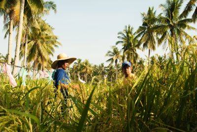 Manila Standard - Webinar tackles Filipino farmers’ resilience - manilastandard.net - Philippines