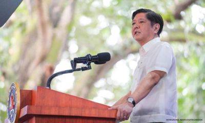 Marcos urges Filipinos to ‘reflect’ on their purpose on Undas