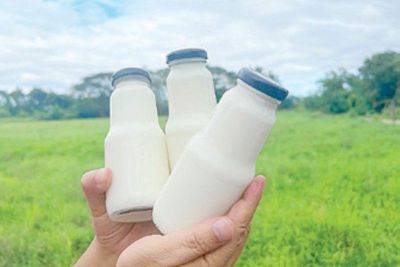 Ireland wants bigger slice of Philippine dairy market