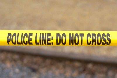 Drunken cop kills niece in shooting rampage