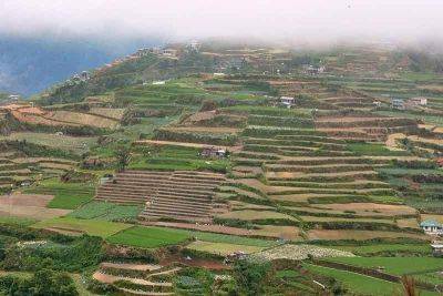 ‘No Cordillera without Benguet's farming industry’