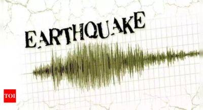 Michael Ricafort - Teresito Bacolcol - Magnitude 6.9 earthquake strikes Mindanao, Philippines region: GFZ - timesofindia.indiatimes.com - Philippines - Germany - city Santos - city Manila - city Koronadal