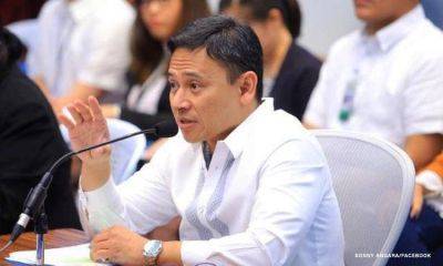 Angara supports reviewing term limits for local officials