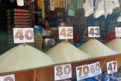 Marcos OK'd extension of lower pork, corn, rice tariff rates — NEDA
