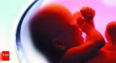 22-week-old female foetus found in Bengaluru hospital dustbin, doctor on the run