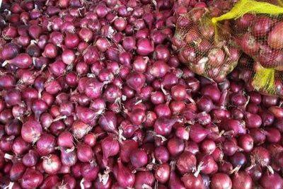 Farmgate price of onions down by P40/kilo – SINAG