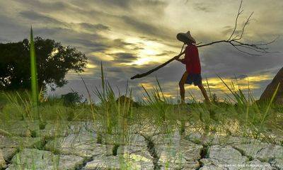 Renato Solidum-Junior - El Niño - El Niño may peak in April 2024, 63 provinces could be affected DOST - cnnphilippines.com - Philippines - region Davao - city Manila