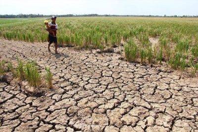 DSWD launches LAWA to combat El Niño in 2024