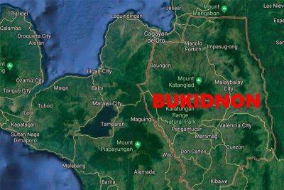 9 NPAs killed in clashes with soldiers in Bukidnon