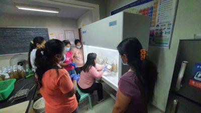 Leander C Domingo - Bacnotan mushroom growers trained - manilatimes.net