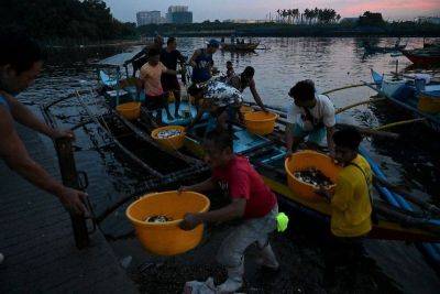 Gaea Katreena Cabico - Marcos - Small-scale fishers worry as Marcos eyes ban - philstar.com - Philippines - Manila