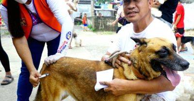 Rabies cases decrease by 8% from Jan. 1- Sept. 2 - pna.gov.ph - Philippines - region Ilocos - region Bicol - Manila