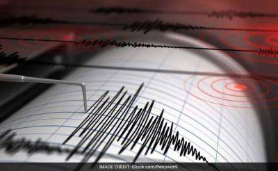 Agence FrancePresse - Strong Earthquakes Shake Indonesia, Philippines, But Cause No Damage - ndtv.com - Philippines - Usa - Indonesia - Manila