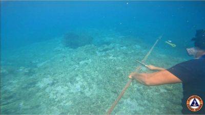 Ferdinand Marcos-Junior - Jay Tarriela - Eduardo Ano - Franco Jose C Baro - PCG removes shoal barrier - manilatimes.net - Philippines - China