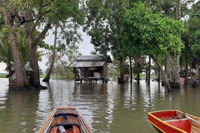 John Unson - Palace, BARMM urged to protect Liguasan Delta’s ecosystem - philstar.com - province Cotabato