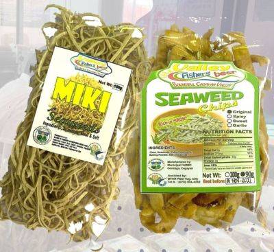 Cagayan group produces chips, noodles from Guraman