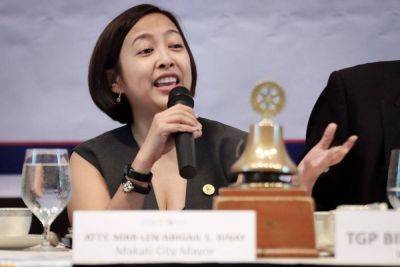 Brix Lelis - Binay eyes run for Taguig mayor - manilatimes.net - city Taguig