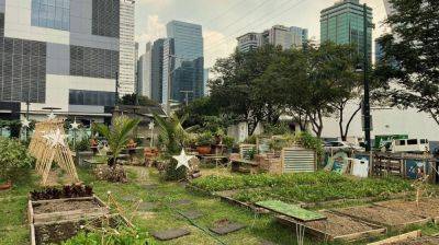 An edible garden grows in BGC - rappler.com - Philippines - county Garden - city Global - city Manila, Philippines