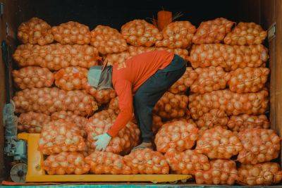 El Niño - Francisco Tiu-Laurel - DA orders temporary suspension of onion imports - da.gov.ph - Philippines
