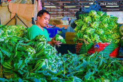 Francisco Tiu-Laurel - DA helps farmers sell 160 tons of highland vegetables in January - da.gov.ph - China - city Baguio