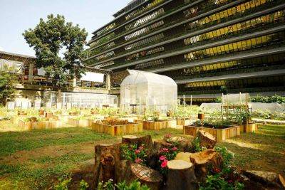 The Manila Times - SMC expands urban farming initiative - manilatimes.net - county San Miguel