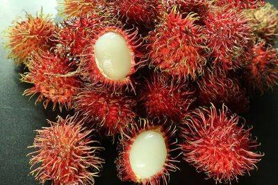 Rambutan: Trivia about Southeast Asia's exotic fruit