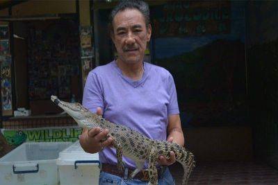 Davao City’s landmark croc farm owner dies in highway mishap
