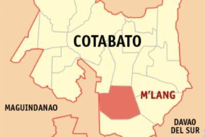 John Unson - Villager dead, 4 hurt as Cotabato barangay exec fires gun at roadside vending stall - philstar.com - province Cotabato - city Cotabato