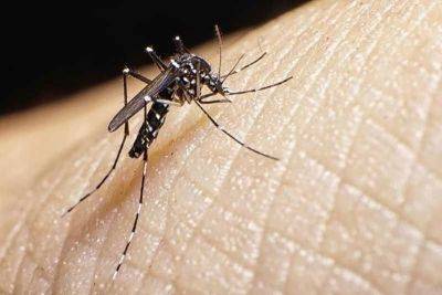 Dengue cases in Negros Occidental breach 5,000