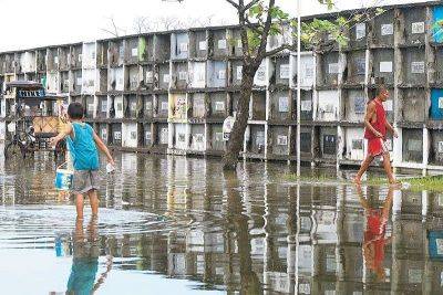 Seek the common good this Undas – Marcos Jr.