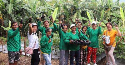 Conrado Estrella III (Iii) - Mulanay agrarian reform beneficiaries learn Sustainable Vegetable Production - dar.gov.ph