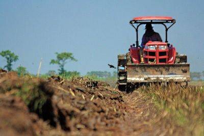 DBM approves P455-million funding to aid rice farmers