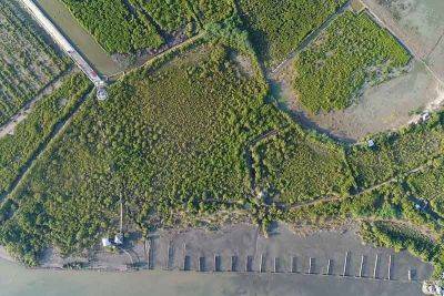 Gov’t urged to revert unproductive fishponds to mangroves for climate fight