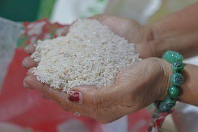 DA coordinating with DSWD to distribute rice in lieu of cash grants to poor Pinoys
