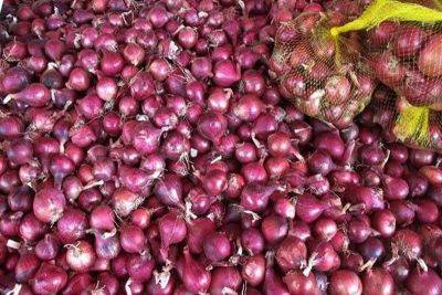 Bella Cariaso - Rosendo So - Jayson Cainglet - Leonardo Montemayor - Farmgate price of red onions drops to P29/kilo - philstar.com - Philippines - city Manila, Philippines