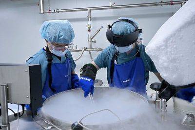 Seoul hopes egg freezing can help South Korea baby crisis, experts disagree - philstar.com - North Korea - South Korea - city Seoul, South Korea