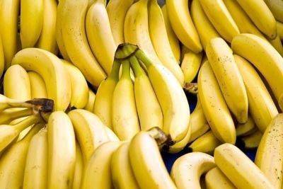 Banana exports reverse sagging trend, rise in 2023
